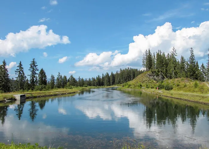 Sunny Hideaway By Interhome Holiday home